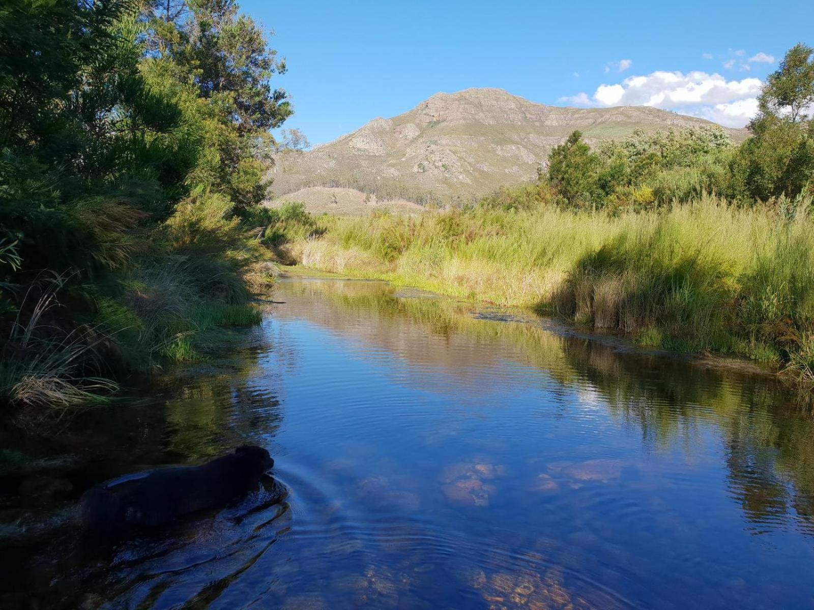 La Ferme Guest Farm - Hot Tubs Villa Franschhoek Exteriör bild